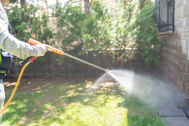 Best Lawn Pest Control  in Newberry, MI